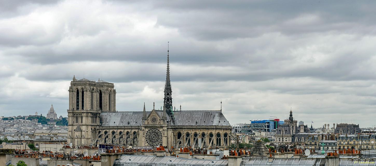 Paris vu d'en haut, Cathdrale Notre-Dame de Paris, 5 rue Descartes (ancienne cole polytechnique)