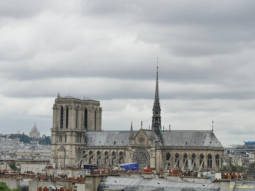 Paris vu d'en haut, Cathdrale Notre-Dame de Paris, 5 rue Descartes (ancienne cole polytechnique)