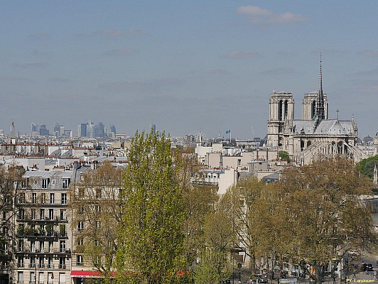 Paris vu d'en haut, Cathdrale Notre-Dame de Paris