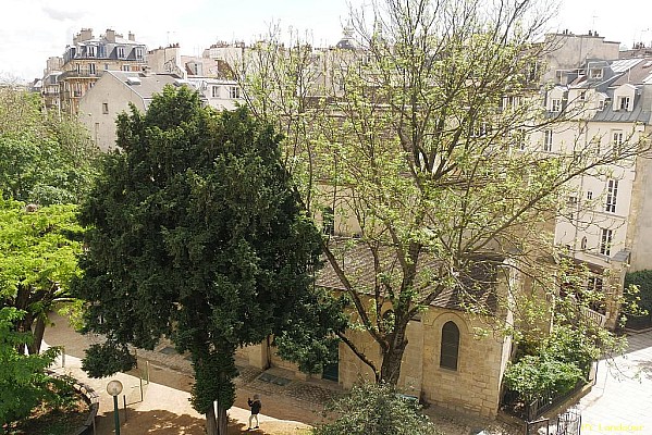 Paris vu d'en haut, 8 rue St-Julien-le-pauvre