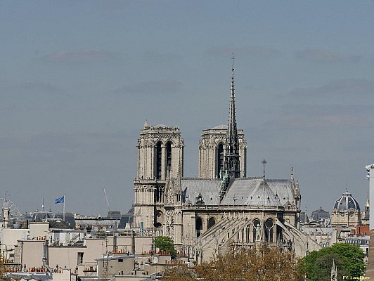 Paris vu d'en haut, Cathdrale Notre-Dame de Paris