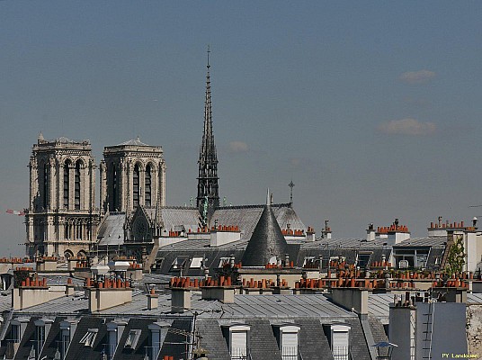 Paris vu d'en haut, Cathdrale Notre-Dame de Paris