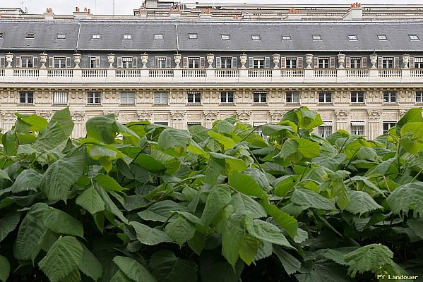 Paris vu d'en haut, 24 rue de Montpensier