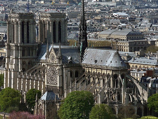 Paris vu d'en haut, Cathdrale Notre-Dame de Paris