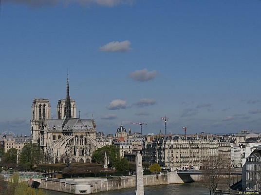 Paris vu d'en haut, Cathdrale Notre-Dame de Paris
