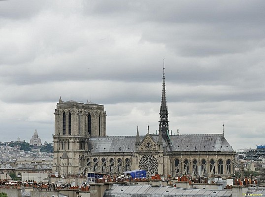 Paris vu d'en haut, Cathdrale Notre-Dame de Paris