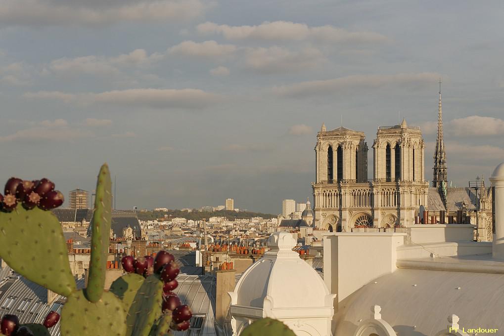 Paris vu d'en haut, Cathdrale Notre-Dame de Paris, 4 rue Danton