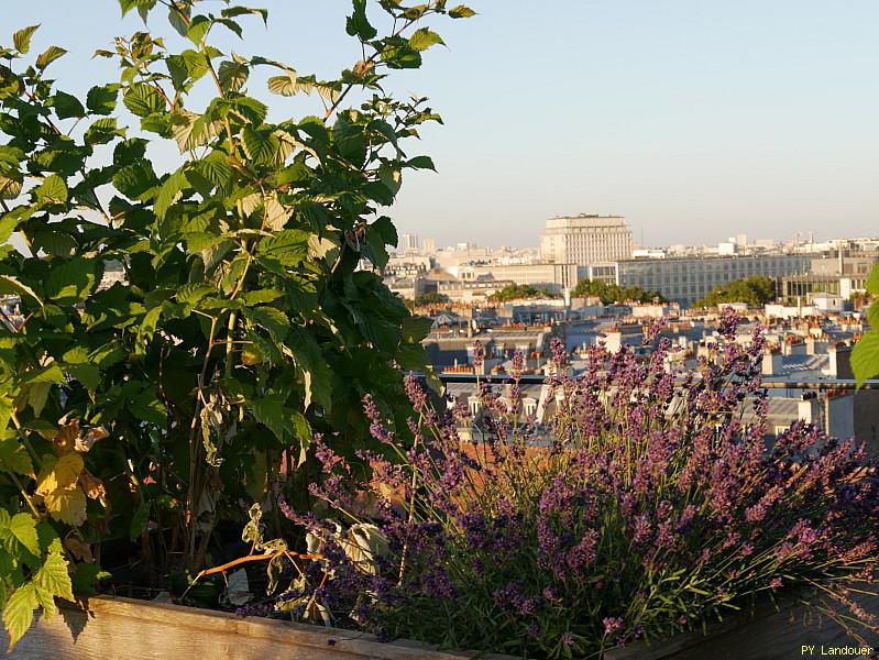 Paris vu d'en haut, 