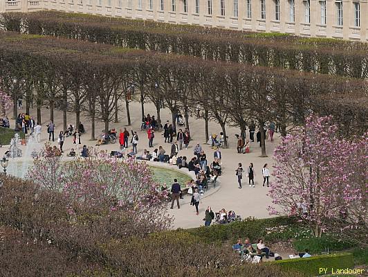 Paris vu d'en haut, Conseil constitutionnel