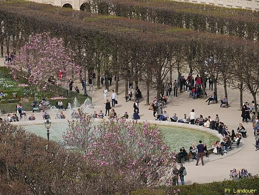 Paris vu d'en haut, Conseil constitutionnel