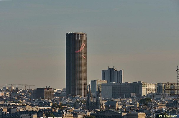 Paris vu d'en haut, 