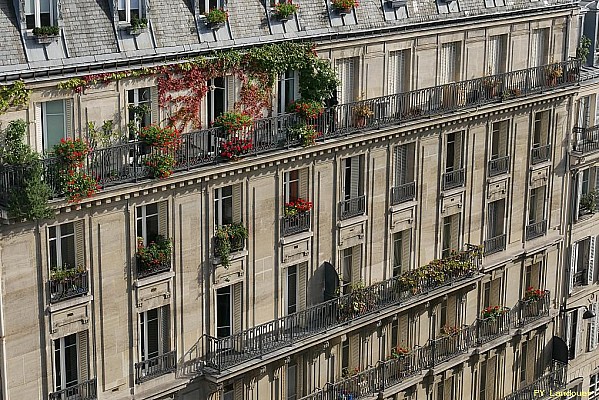 Paris vu d'en haut, 