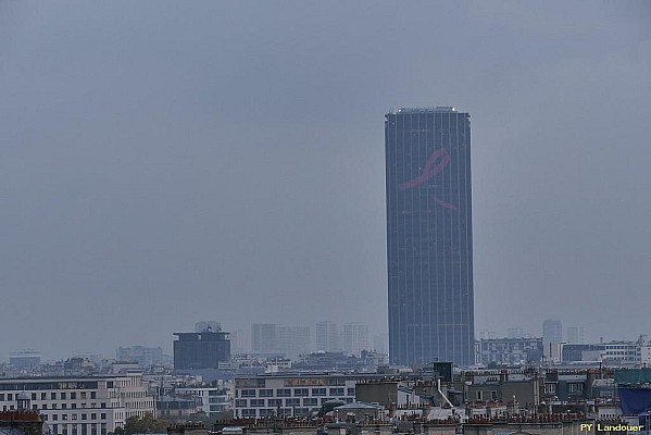 Paris vu d'en haut, 