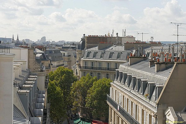 Paris vu d'en haut, 50 rue d'Anjou